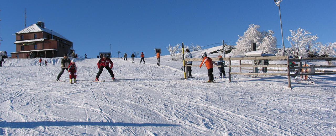 Skilift Satzung