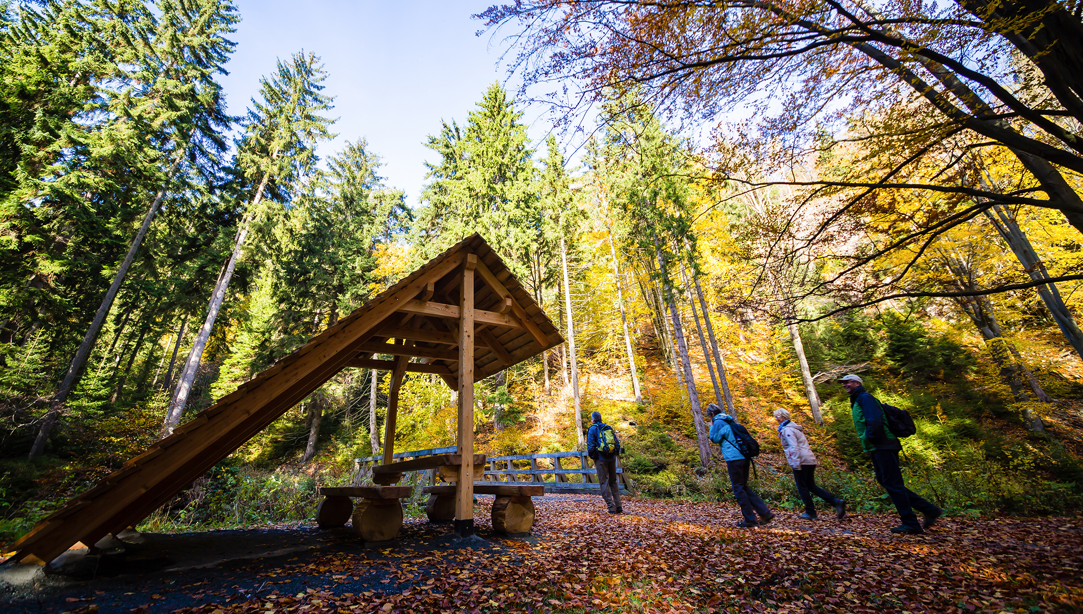 Wanderer im Schwarzwassertal
