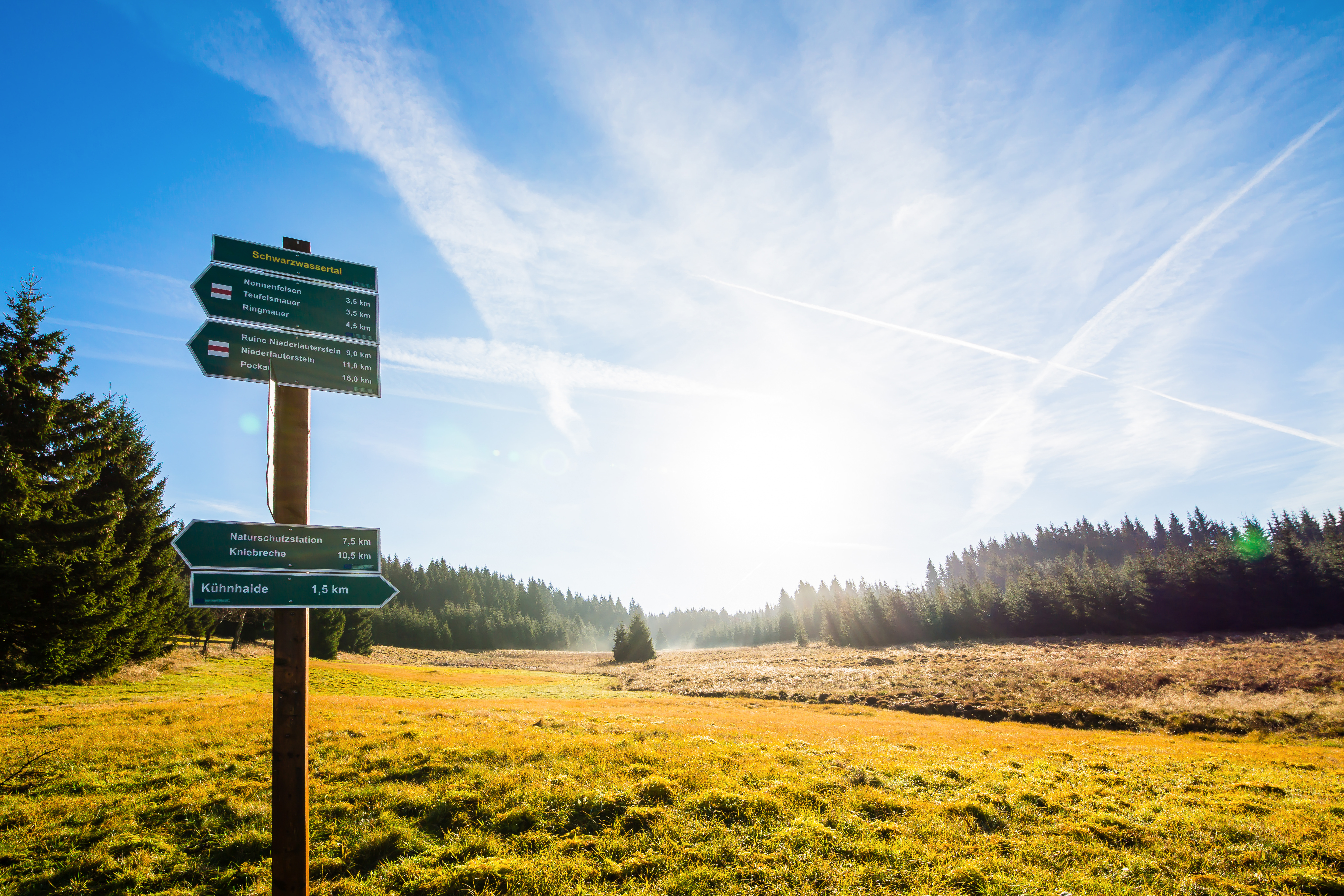Wegweiser im Schwarzwassertal